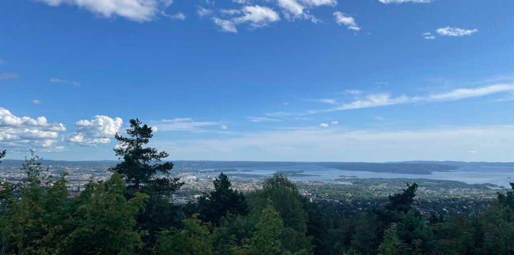 Vista panoramica di Oslo dall’alto, con la città, il fiordo e le colline verdi circostanti