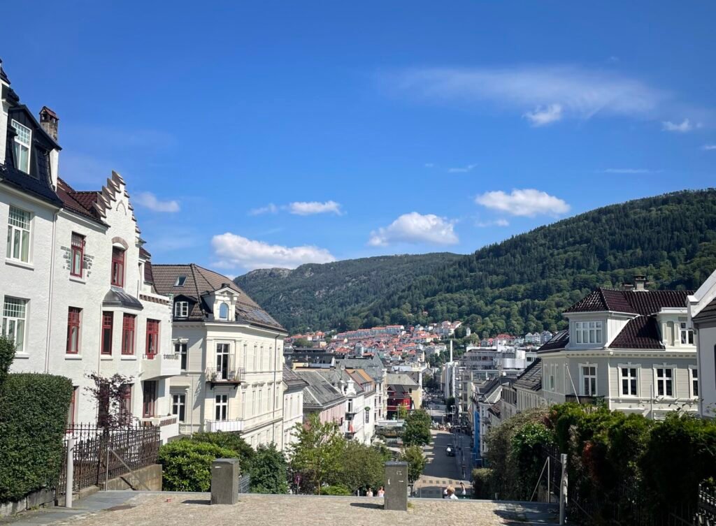 Vista panoramica di Bergen dall’alto, con case storiche, strade in discesa e colline verdi sullo sfondo