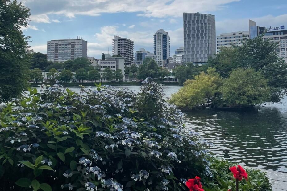 Scorcio urbano a Stavanger⁩ con lago, vegetazione fiorita in primo piano e palazzi moderni sullo sfondo