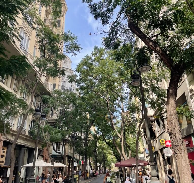Carrer de Sant Vicent Màrtir a Valencia con alberi e negozi nel centro città