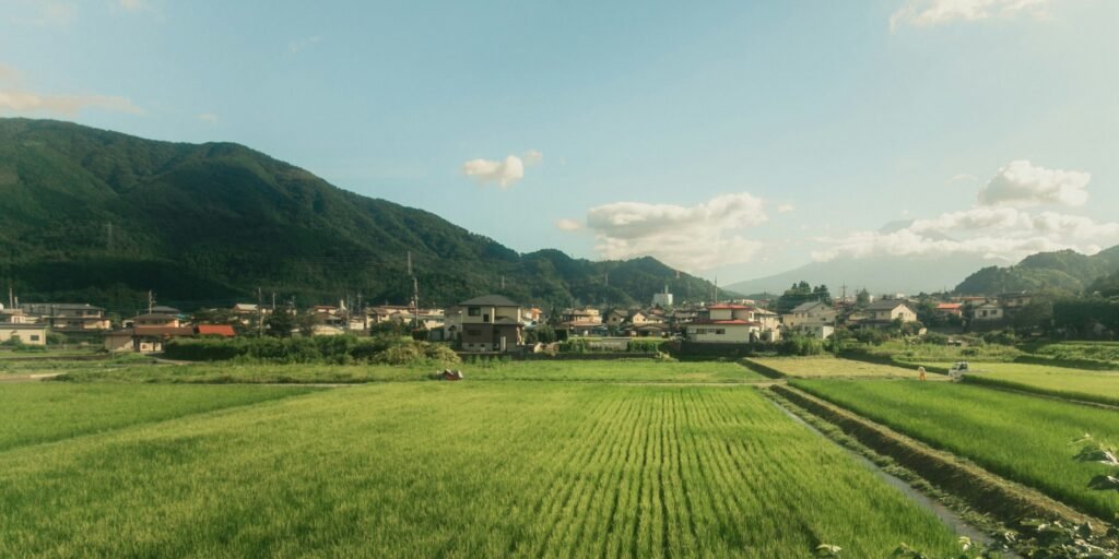 rural Japan