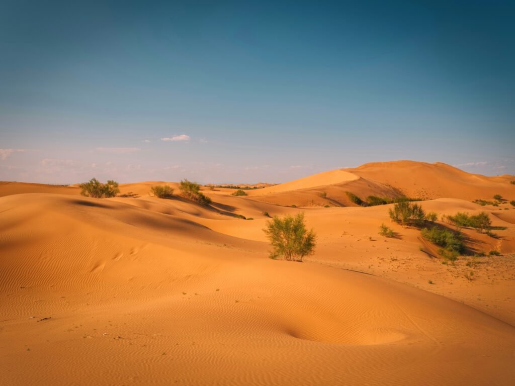 Deserto di Kubuqi, città di Ordos, Cina
