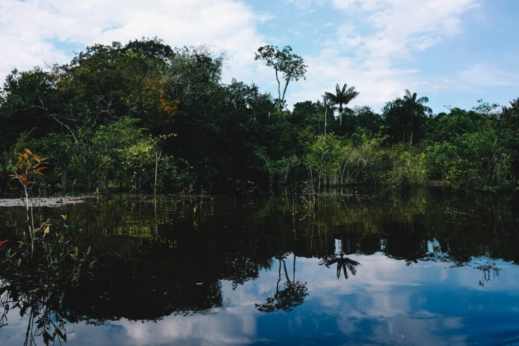 Amazon river in Manaus, State of Amazonas, Brazil