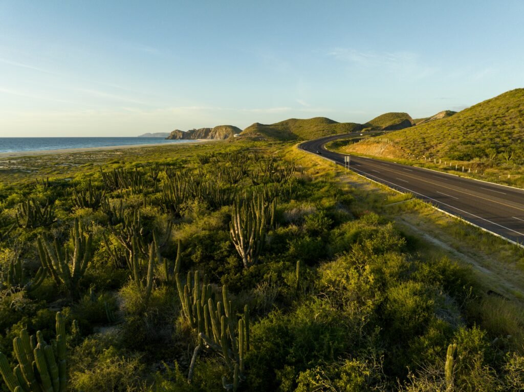 Baja California Sur, Mexico