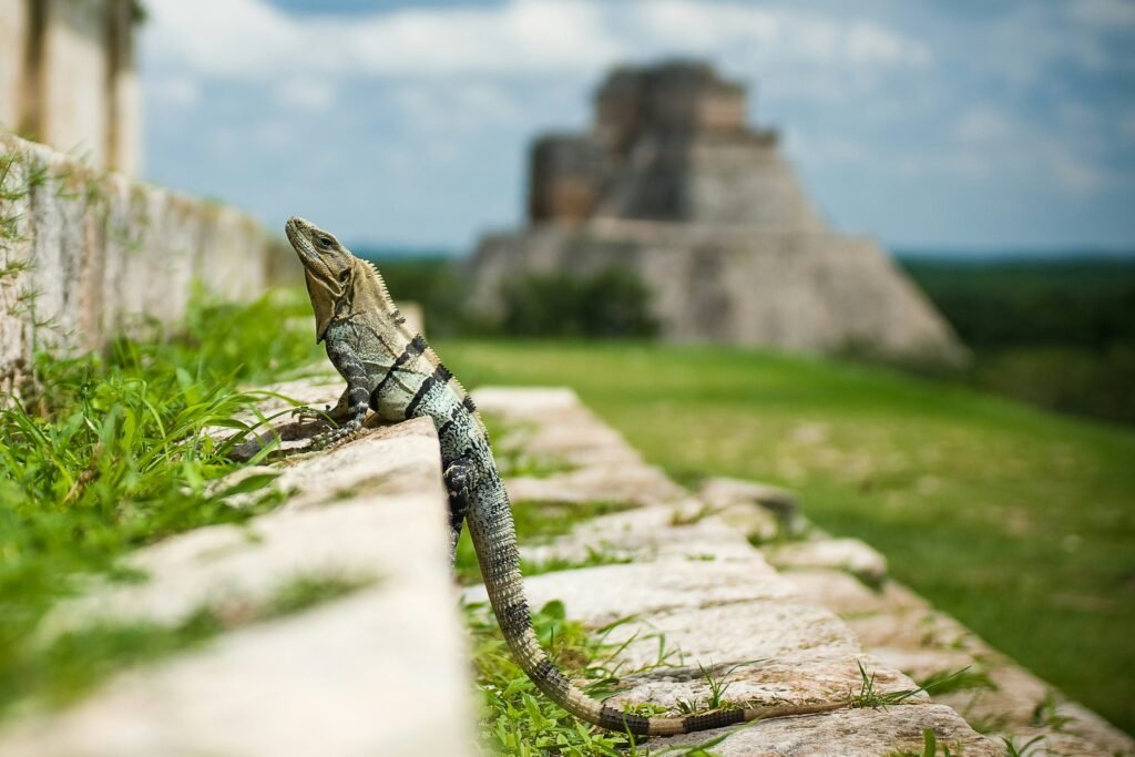Uxmal Yucatan Ruinas, Uxmal, Mexico