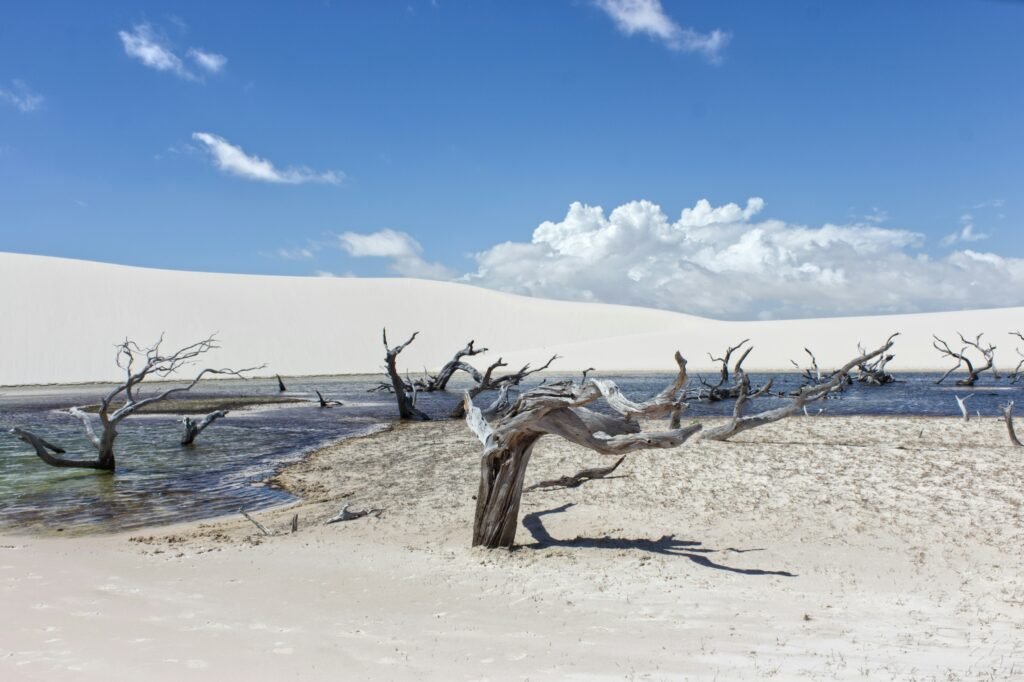 Lençóis Maranhenses, MA, Brasil