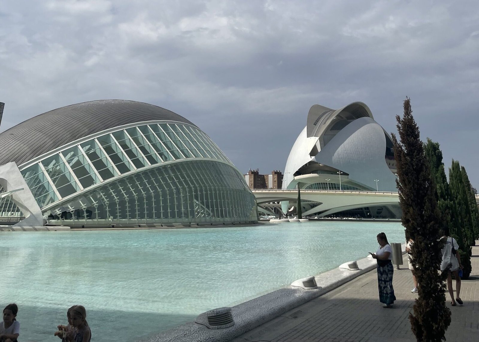 Città delle Arti e delle Scienze a Valencia con L'Oceanogràfic e Palau de les Arts sul lago artificiale